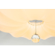 Потолочный светодиодный светильник Escada 10231/S LED