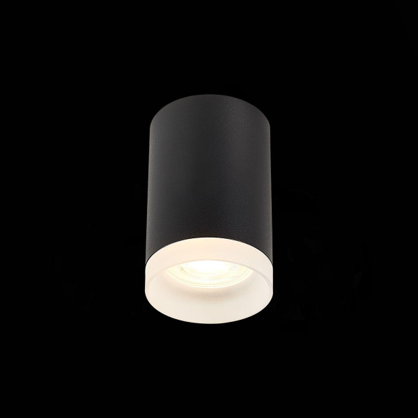 Потолочный светильник ST Luce ST100.402.01 Потолочный светильник ST Luce ST100.402.01