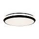 Потолочный светильник Freya Пирог / Pie FR6086CL-L117B