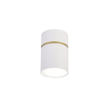 Потолочный светодиодный светильник Favourite Dunia 3067-1C