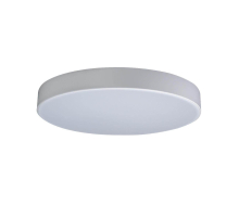 Потолочный светодиодный светильник Loft IT Axel 10002/24 white