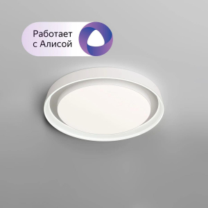 Потолочный светодиодный светильник Denkirs DK6516-WH/1