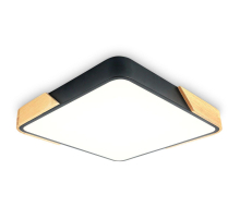 Потолочный светодиодный светильник Ambrella light Orbital Design FZ1316