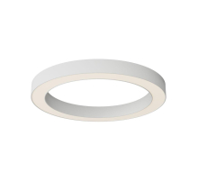 Потолочный светодиодный светильник Maytoni Technical Ceiling Lua C093CL-45W3K-W