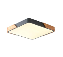 Потолочный светильник Zortes ALBERRO ZRS.01288.36