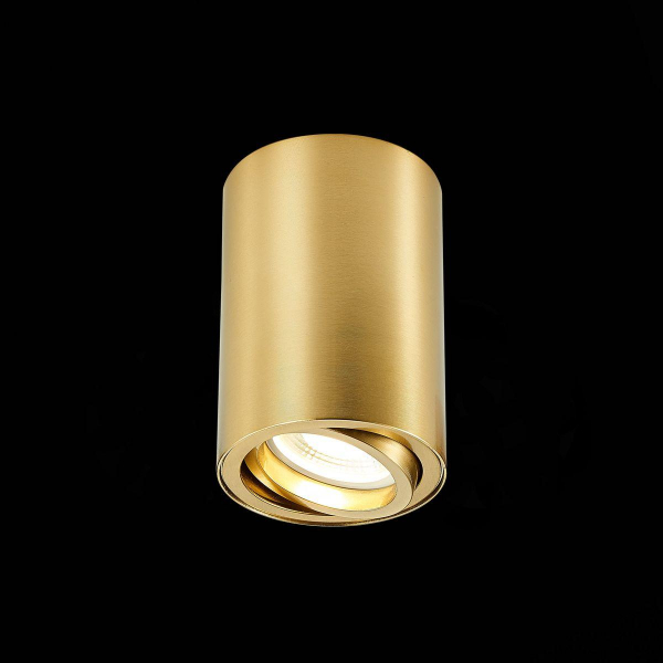 Потолочный светильник ST Luce ST108.207.01 Потолочный светильник ST Luce ST108.207.01
