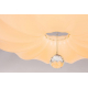 Потолочный светодиодный светильник Escada 10231/S LED
