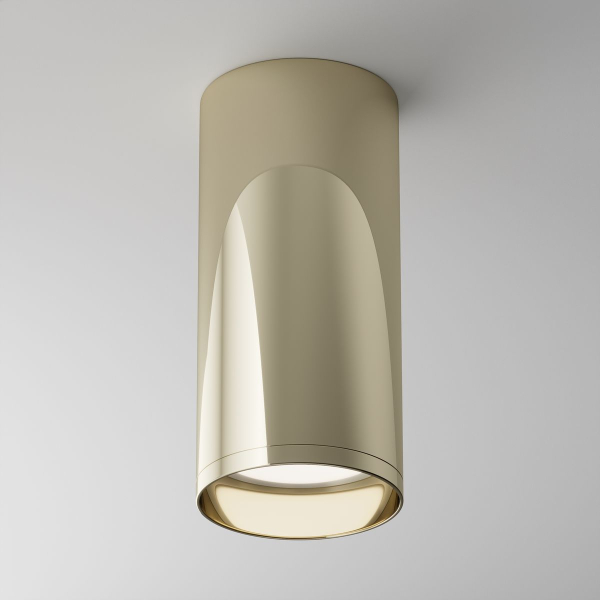 Потолочный светильник Maytoni Technical Focus C010CL-01G