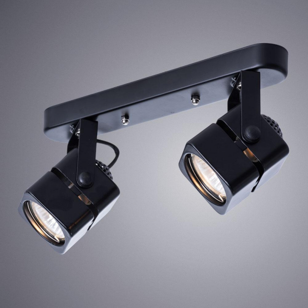 Потолочный светильник Arte Lamp A1315PL-2BK Потолочный светильник Arte Lamp A1315PL-2BK