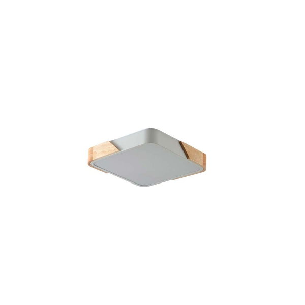 Потолочный светильник Zortes ALBERRO ZRS.01285.24 Потолочный светильник Zortes ALBERRO ZRS.01285.24