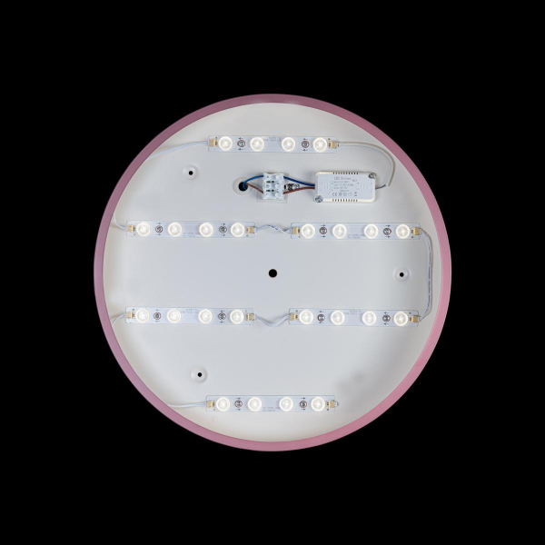 Потолочный светодиодный светильник Loft IT Axel 10002/24 pink Потолочный светодиодный светильник Loft IT Axel 10002/24 pink