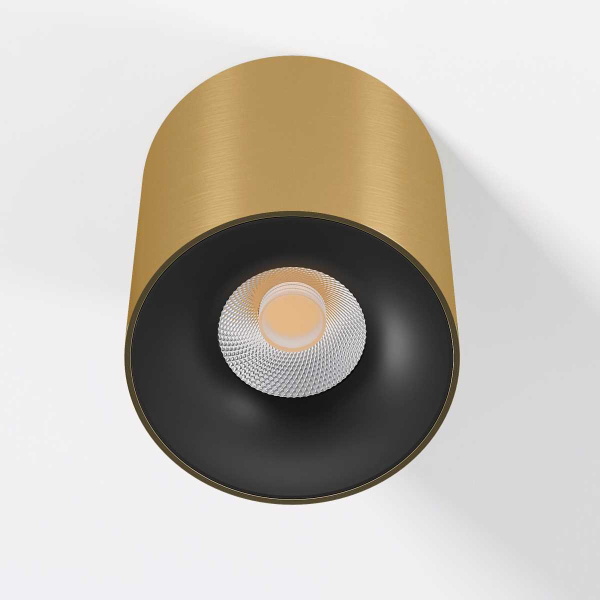 Потолочный светодиодный светильник Elektrostandard Primo 25116/LED a069414