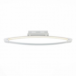 Потолочный светодиодный светильник ST Luce SL920.102.01