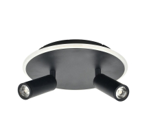 Потолочный светодиодный светильник Escada 20046SMA/02LED BK