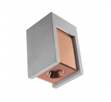 Потолочный светодиодный светильник Loft IT Architect OL1073-GG