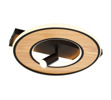 Потолочный светильник F-Promo Olika 4438-2C