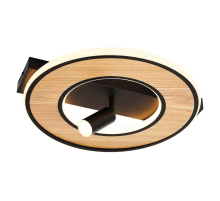 Потолочный светильник F-Promo Olika 4438-2C