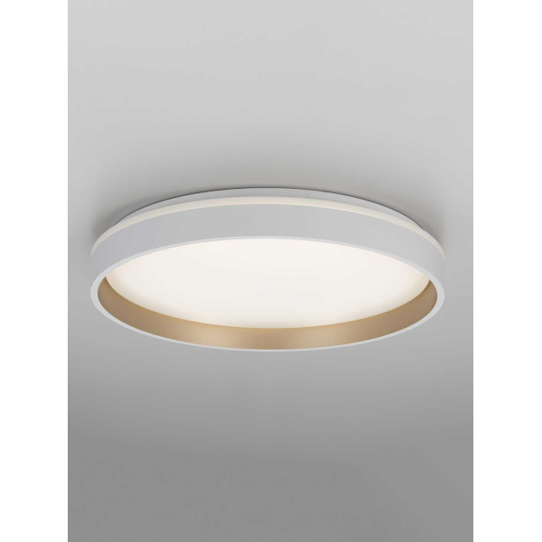 Потолочный светильник Citilux CL753450G