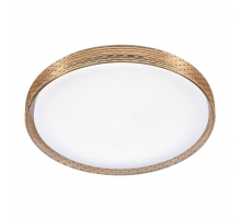 Потолочный светодиодный светильник Profit Light 2095/450 WH+GD RGB