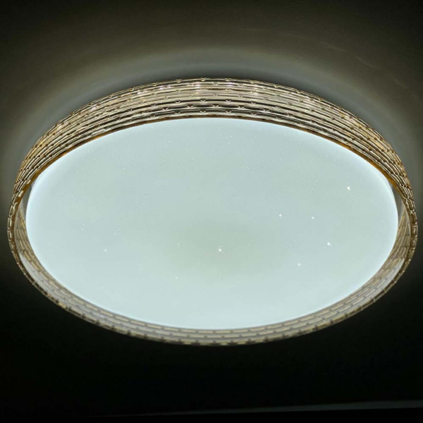 Потолочный светодиодный светильник Profit Light 2095/450 WH+GD Потолочный светодиодный светильник Profit Light 2095/450 WH+GD