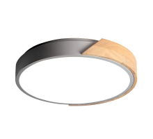 Потолочный светодиодный светильник Jazzway PPB Sсandic-R 5037052