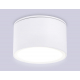 Потолочный светильник Ambrella light Techno Spot IP Protect TN6522