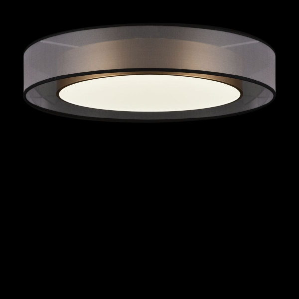 Потолочный светодиодный светильник Freya Zoticus FR6005CL-L48G