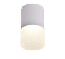 Потолочный светодиодный светильник Favourite Naram 3069-1C