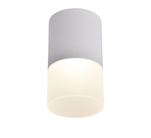 Потолочный светодиодный светильник Favourite Naram 3069-1C