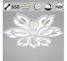 Светильник потолочный Reluce 85162-0.3-6+3