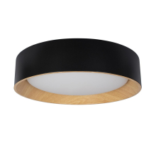 Потолочный светодиодный светильник Loft IT Coin 10202 Black