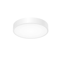 Потолочный светильник Citilux Купер CL72424V0