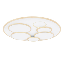 Потолочный светодиодный светильник Globo Tarabina 48279-80