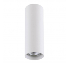 Потолочный светильник Lightstar Rullo 214496