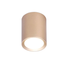 Потолочный светильник Ambrella light Techno Spot TN216