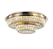 Потолочный светодиодный светильник Ambrella light Traditional TR5031