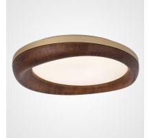 Потолочный светодиодный светильник Imperium Loft Runis 219478-26