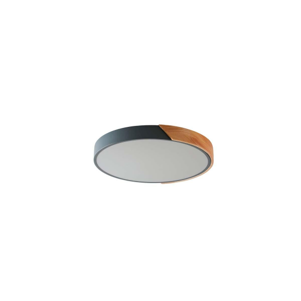 Потолочный светильник Zortes ALBERRO ZRS.01280.72 Потолочный светильник Zortes ALBERRO ZRS.01280.72