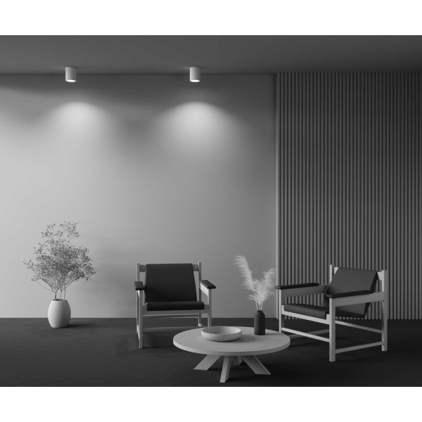 Потолочный светильник Technical C001CW-01W-1