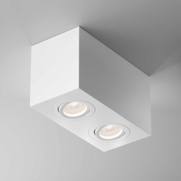 Потолочный светильник Maytoni Technical Atom C017CL-02W Потолочный светильник Maytoni Technical Atom C017CL-02W