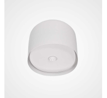 Потолочный светильник Imperium Loft Cylinder 101495-26