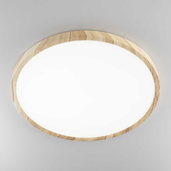 Потолочный светильник Citilux Бейсик Клен CL738322V