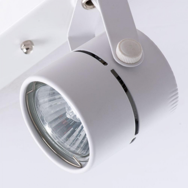 Потолочный светильник Arte Lamp A1311PL-2WH Потолочный светильник Arte Lamp A1311PL-2WH