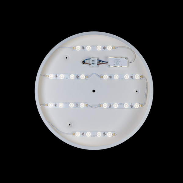 Потолочный светодиодный светильник Loft IT Axel 10003/24 white Потолочный светодиодный светильник Loft IT Axel 10003/24 white