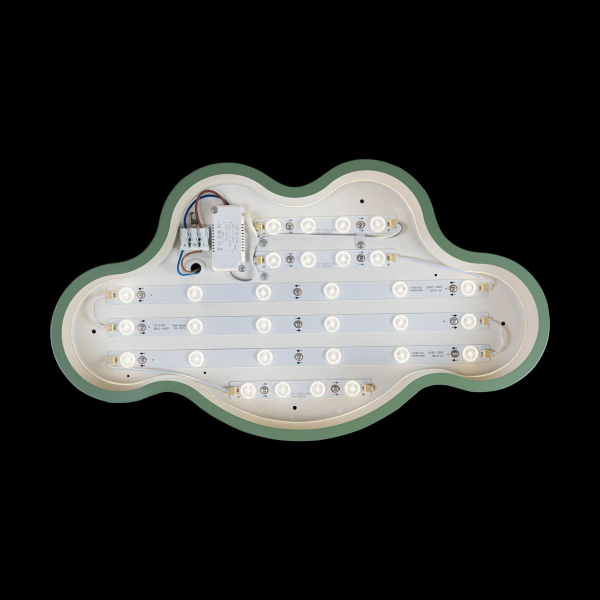 Потолочный светодиодный светильник Loft IT Axel 10005/30 green Потолочный светодиодный светильник Loft IT Axel 10005/30 green