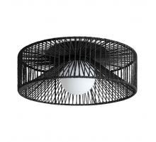 Потолочный светильник Freya Cottage FR5405CL-01B