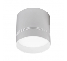 Потолочный светодиодный светильник Jazzway PDL-R 5005716