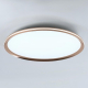 Потолочный cветильник LED4U L3020-600 GD