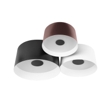 Потолочный светодиодный светильник Loft IT Duo 10360/3