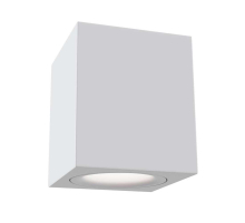 Потолочный светильник Maytoni Alfa C013CL-01W